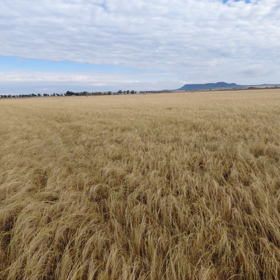 Commercial Property for Sale in Bloemfontein Rural Free State